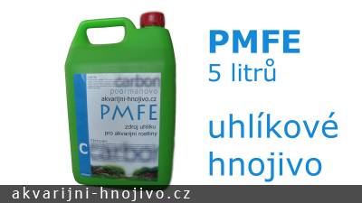 PMFE - 3l